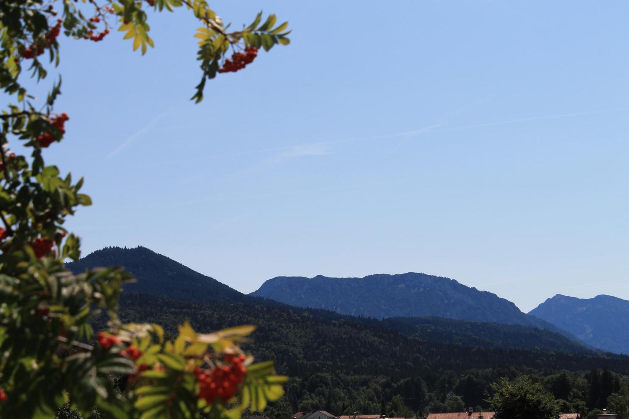 Hotel Garni Edelweiss Siegsdorf Eksteriør bilde