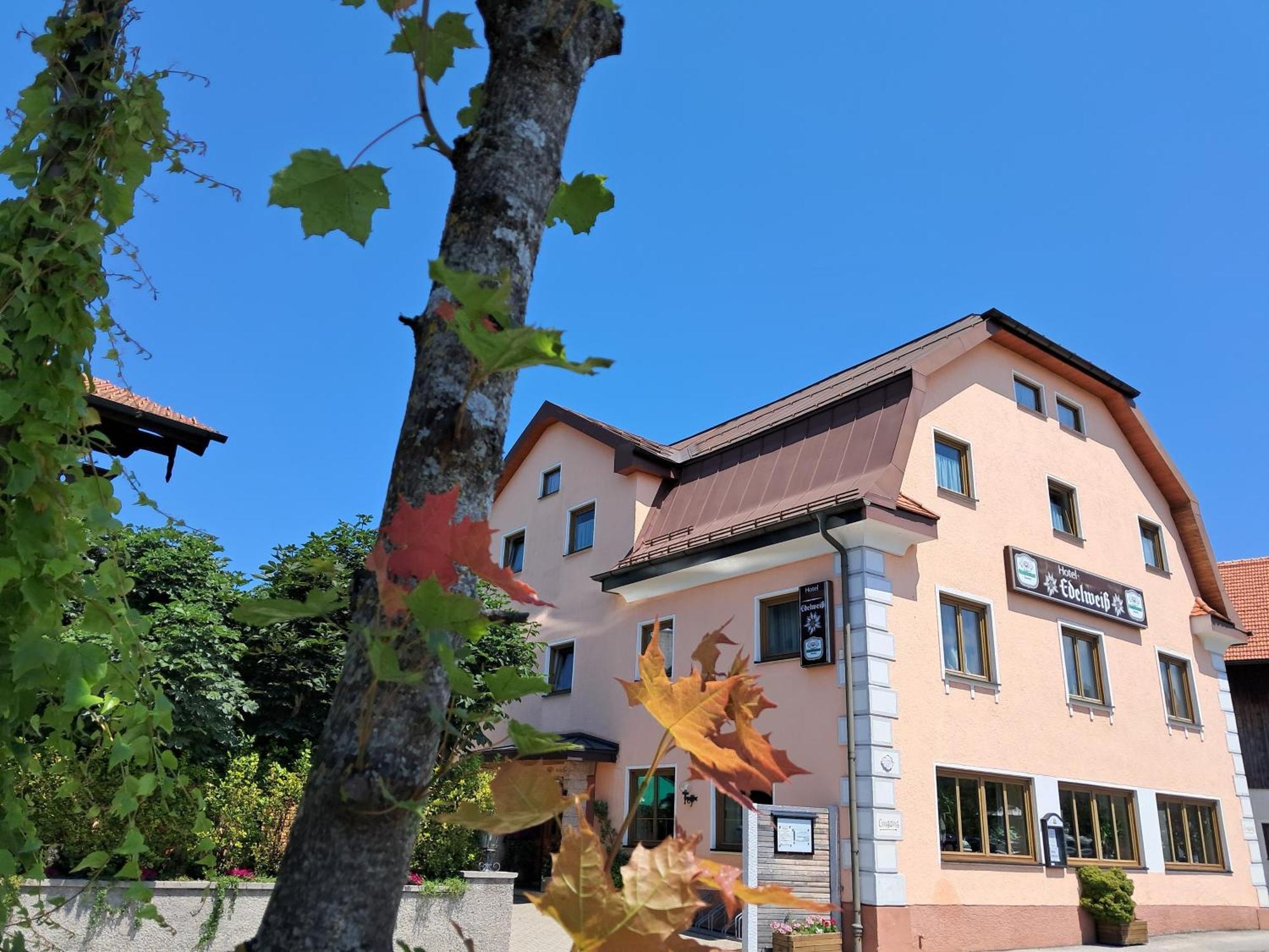 Hotel Garni Edelweiss Siegsdorf Eksteriør bilde